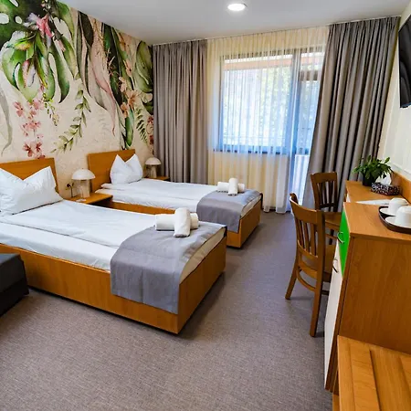 Hotell Sveti Vasilii Veliki 4*